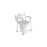 Commode Seat and Back