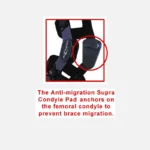 Defiance III® - Image 2