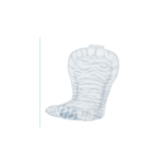 TENA® Day Light Pads